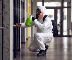 Professional Mold Removal in Comanche, TX